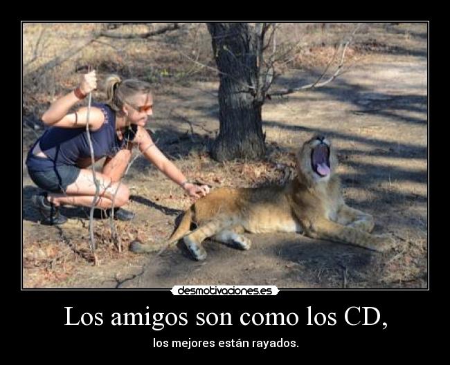 Los amigos son como los CD, -
