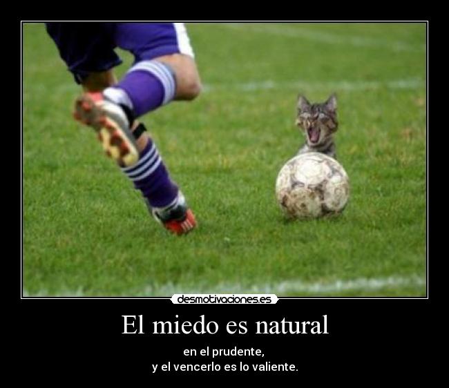 carteles miedo endyyi desmotivaciones