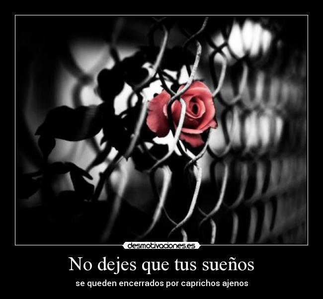 No dejes que tus sueños -