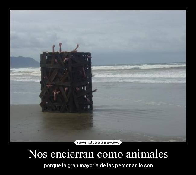 carteles animales encerrar animal persona ser mayoria gran ely desmotivaciones