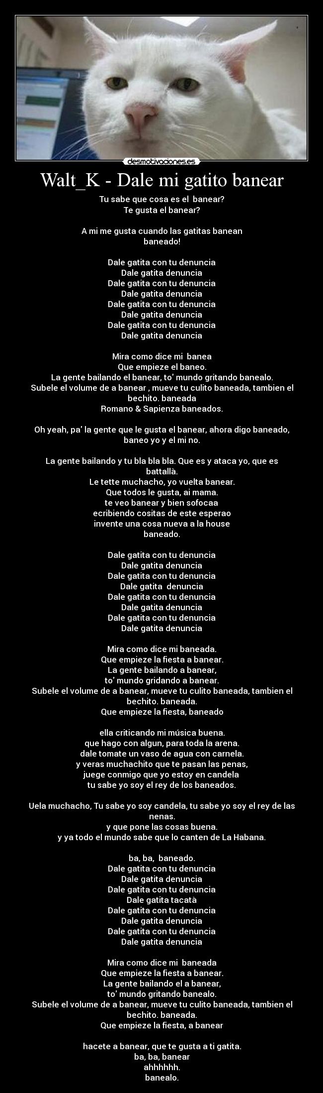 Walt_K - Dale mi gatito banear - Tu sabe que cosa es el  banear?
Te gusta el banear?

A mi me gusta cuando las gatitas banean
baneado!

Dale gatita con tu denuncia
Dale gatita denuncia
Dale gatita con tu denuncia
Dale gatita denuncia
Dale gatita con tu denuncia
Dale gatita denuncia
Dale gatita con tu denuncia
Dale gatita denuncia

Mira como dice mi  banea
Que empieze el baneo.
La gente bailando el banear, to mundo gritando banealo.
Subele el volume de a banear , mueve tu culito baneada, tambien el bechito. baneada
Romano & Sapienza baneados.

Oh yeah, pa la gente que le gusta el banear, ahora digo baneado, baneo yo y el mi no.

La gente bailando y tu bla bla bla. Que es y ataca yo, que es battallà.
Le tette muchacho, yo vuelta banear.
Que todos le gusta, ai mama.
te veo banear y bien sofocaa
ecribiendo cositas de este esperao
invente una cosa nueva a la house
baneado.

Dale gatita con tu denuncia
Dale gatita denuncia
Dale gatita con tu denuncia
Dale gatita  denuncia
Dale gatita con tu denuncia
Dale gatita denuncia
Dale gatita con tu denuncia
Dale gatita denuncia

Mira como dice mi baneada.
Que empieze la fiesta a banear.
La gente bailando a banear,
to mundo gridando a banear.
Subele el volume de a banear, mueve tu culito baneada, tambien el bechito. baneada.
Que empieze la fiesta, baneado

ella criticando mi música buena.
que hago con algun, para toda la arena.
dale tomate un vaso de agua con carnela.
y veras muchachito que te pasan las penas,
juege conmigo que yo estoy en candela
tu sabe yo soy el rey de los baneados.

Uela muchacho, Tu sabe yo soy candela, tu sabe yo soy el rey de las nenas.
y que pone las cosas buena.
y ya todo el mundo sabe que lo canten de La Habana.

ba, ba,  baneado.
Dale gatita con tu denuncia
Dale gatita denuncia
Dale gatita con tu denuncia
Dale gatita tacatà
Dale gatita con tu denuncia
Dale gatita denuncia
Dale gatita con tu denuncia
Dale gatita denuncia

Mira como dice mi  baneada
Que empieze la fiesta a banear.
La gente bailando el a banear,
to mundo gritando banealo.
Subele el volume de a banear, mueve tu culito baneada, tambien el bechito. baneada.
Que empieze la fiesta, a banear

hacete a banear, que te gusta a ti gatita.
ba, ba, banear
ahhhhhh.
banealo.