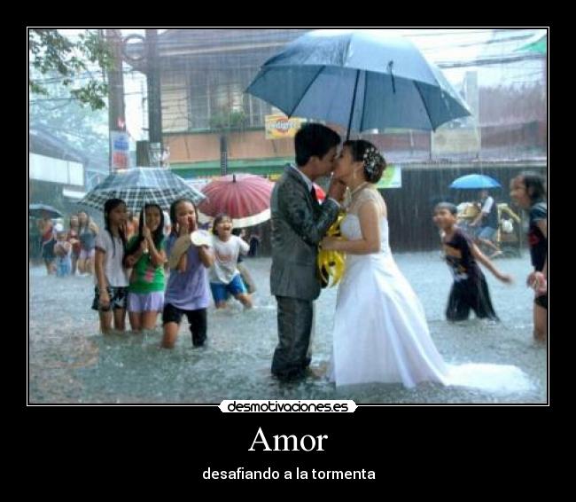 Amor -