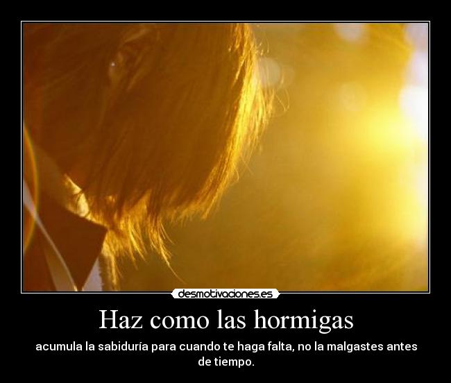 Haz como las hormigas - acumula la sabiduría para cuando te haga falta, no la malgastes antes de tiempo.