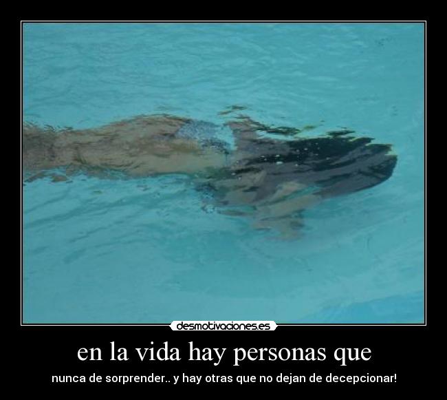 carteles vida desmotivaciones