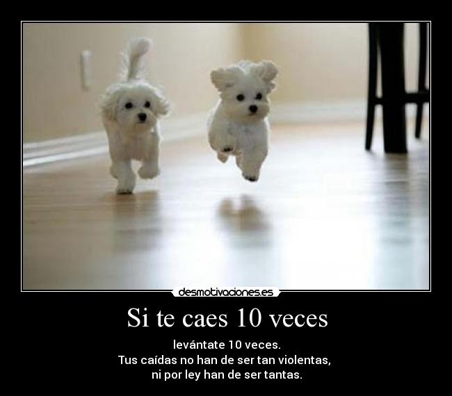 carteles caer levantas violenta desmotivaciones