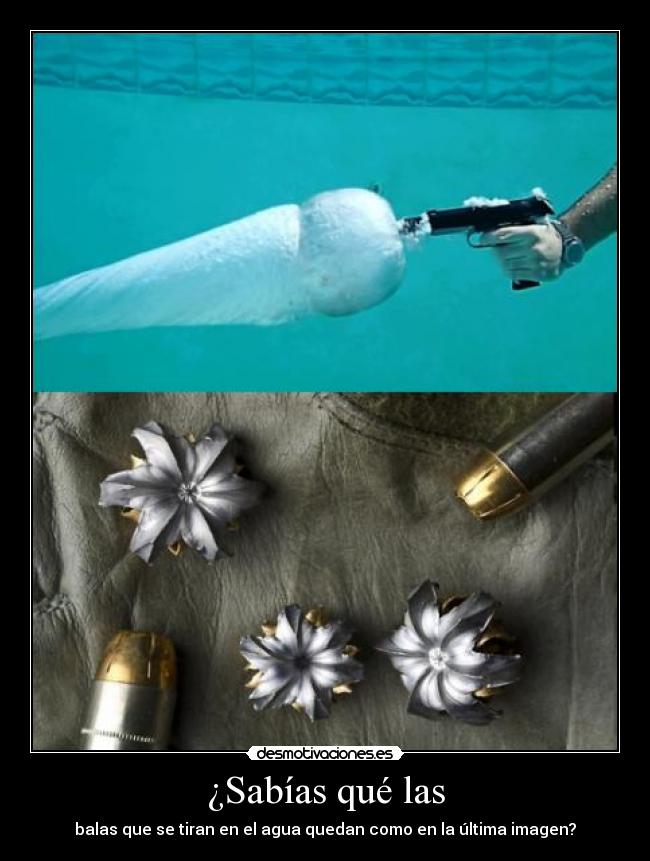 ¿Sabías qué las -