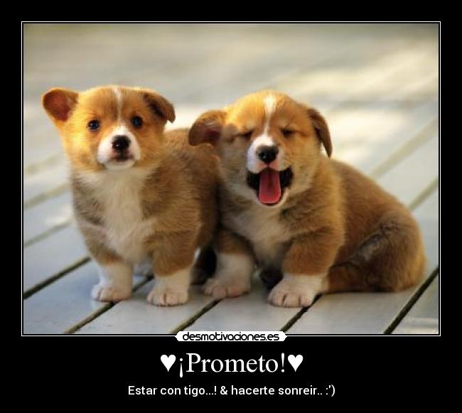 ♥¡Prometo!♥ - Estar con tigo...! & hacerte sonreir.. :)