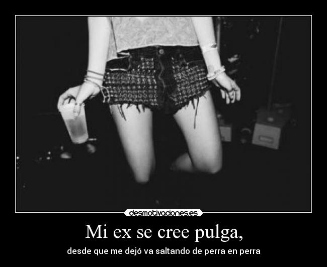 carteles pulgaaa desmotivaciones