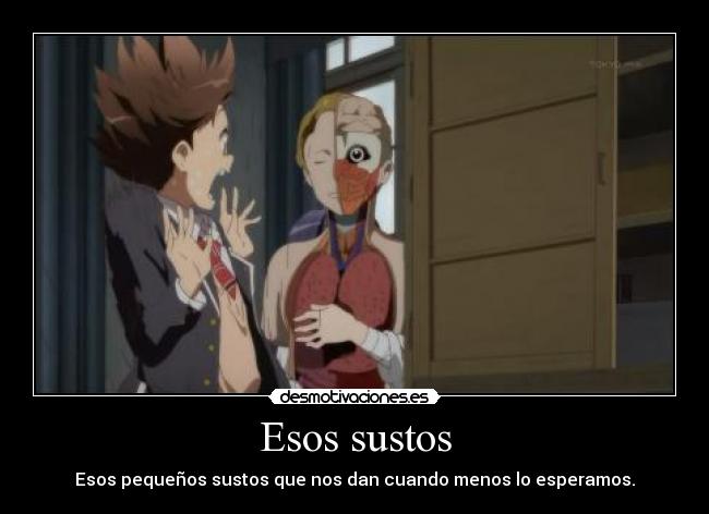 Esos sustos - Esos pequeños sustos que nos dan cuando menos lo esperamos.