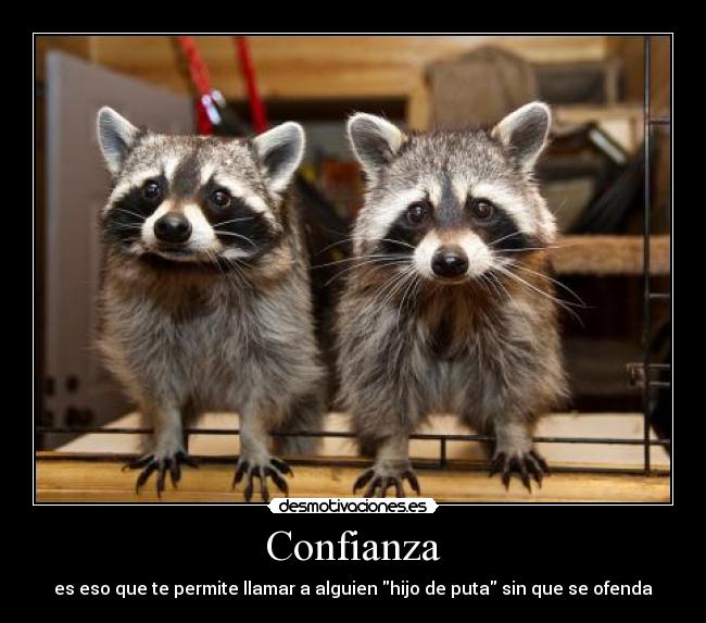 Confianza - es eso que te permite llamar a alguien hijo de puta sin que se ofenda