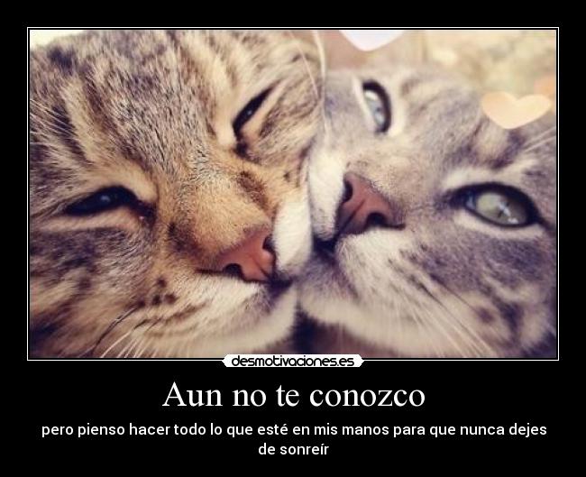 Aun no te conozco - pero pienso hacer todo lo que esté en mis manos para que nunca dejes de sonreír