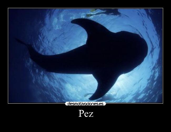 Pez - 