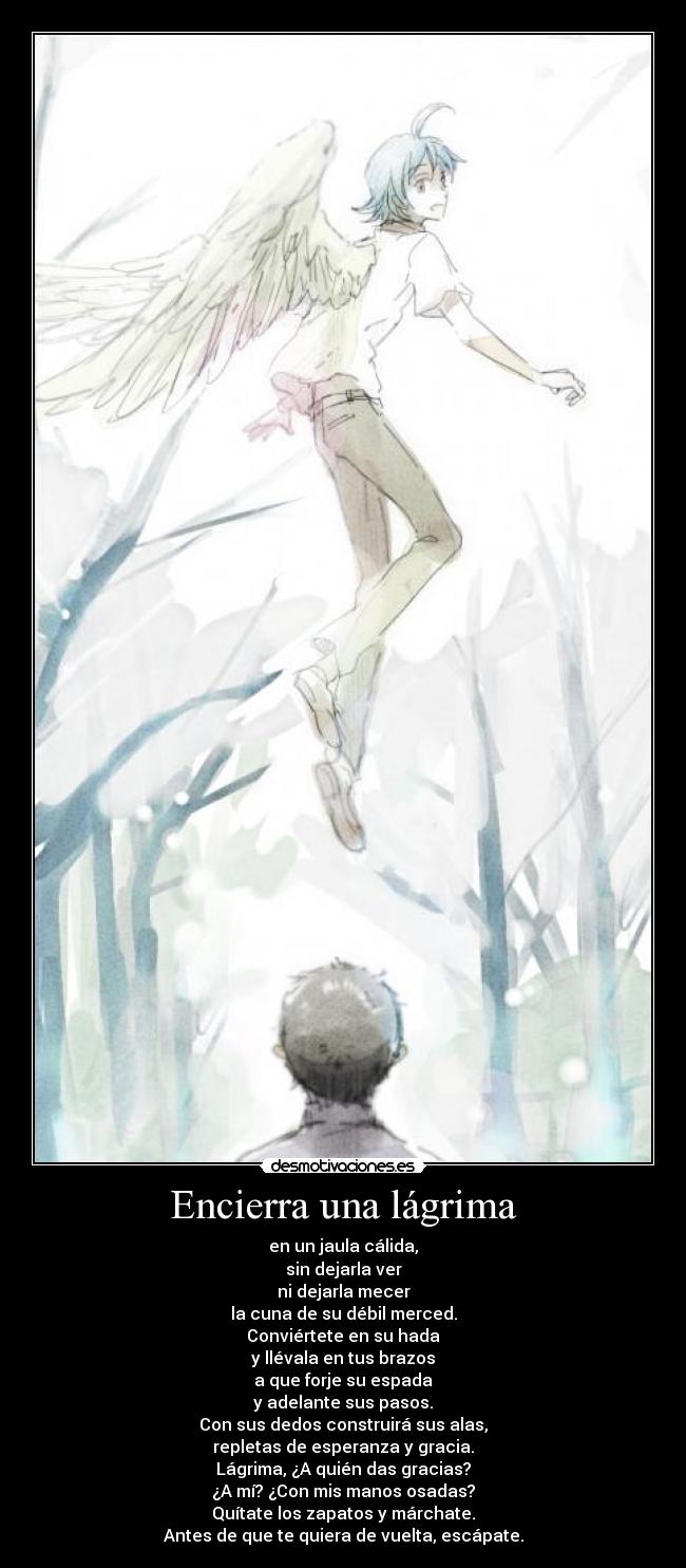 carteles anime frase cartel desmotivacion shinji kaoru evangelion desmotivaciones