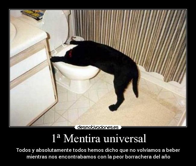 1ª Mentira universal - Todos y absolutamente todos hemos dicho que no volvíamos a beber
mientras nos encontrabamos con la peor borrachera del año