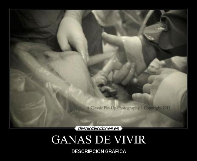 GANAS DE VIVIR - DESCRIPCIÓN GRÁFICA