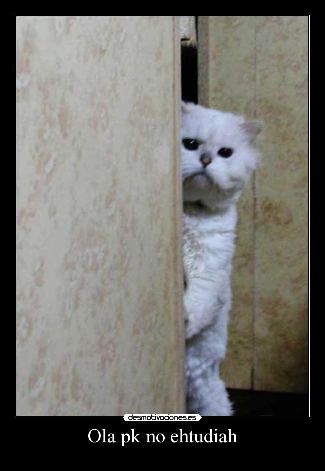 Ola pk no ehtudiah -