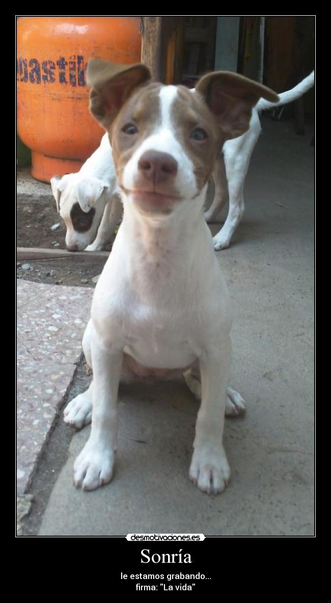Sonría -