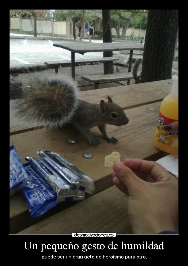 Un pequeño gesto de humildad - 
