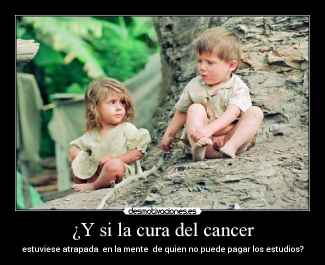 ¿Y si la cura del cancer - estuviese atrapada en la mente de quien no puede pagar los estudios?