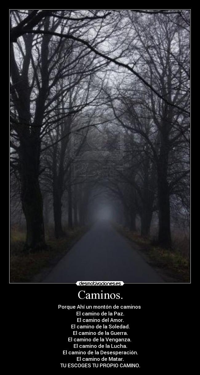 Caminos. - Porque Ahí un montón de caminos
El camino de la Paz.
El camino del Amor.
El camino de la Soledad.
El camino de la Guerra.
El camino de la Venganza.
El camino de la Lucha.
El camino de la Desesperación.
El camino de Matar.
TU ESCOGES TU PROPIO CAMINO.