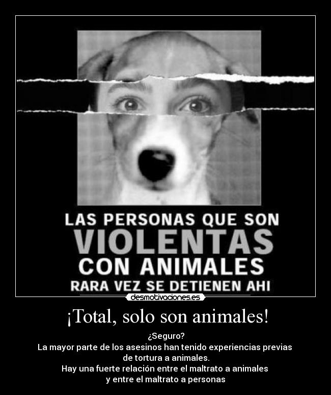 ¡Total, solo son animales! - 