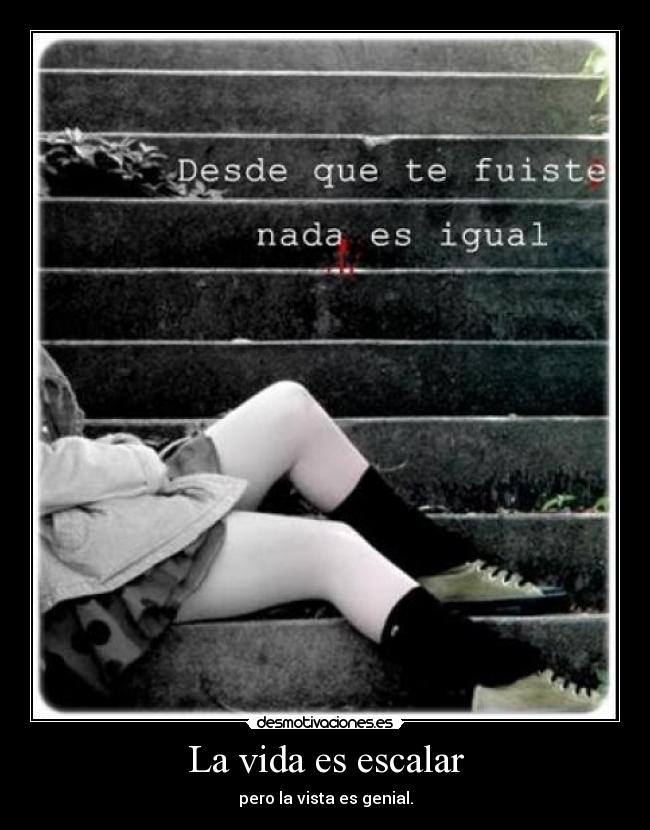 La vida es escalar - pero la vista es genial.