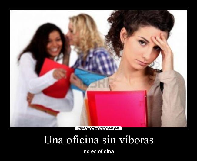 Una oficina sin víboras - 