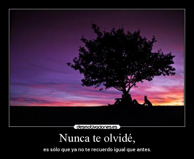 Nunca te olvidé, - es sólo que ya no te recuerdo igual que antes.