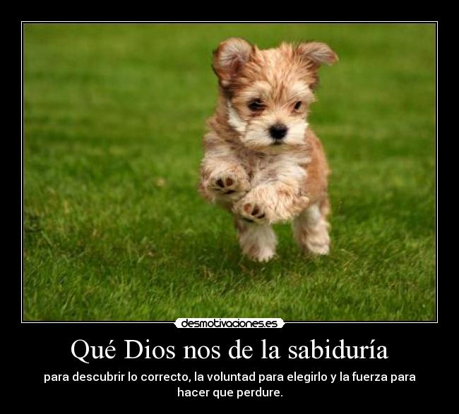 Qué Dios nos de la sabiduría - 