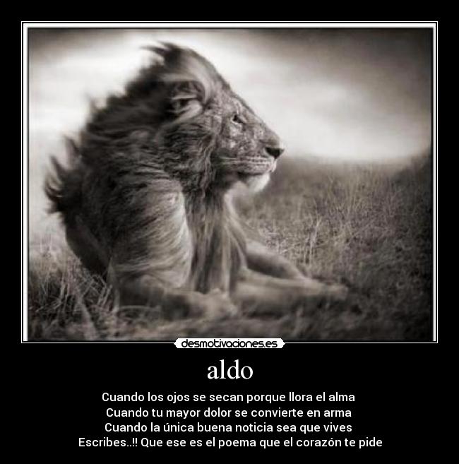 carteles emanuel inagas desmotivaciones