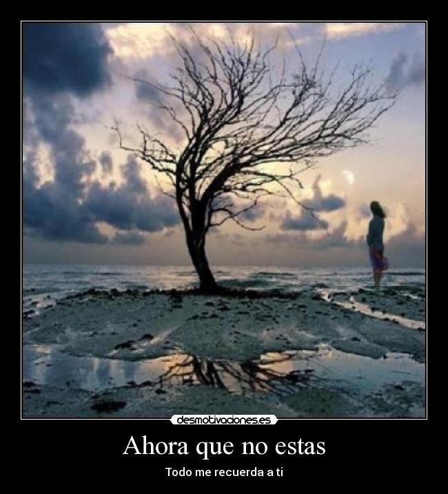Ahora que no estas - 