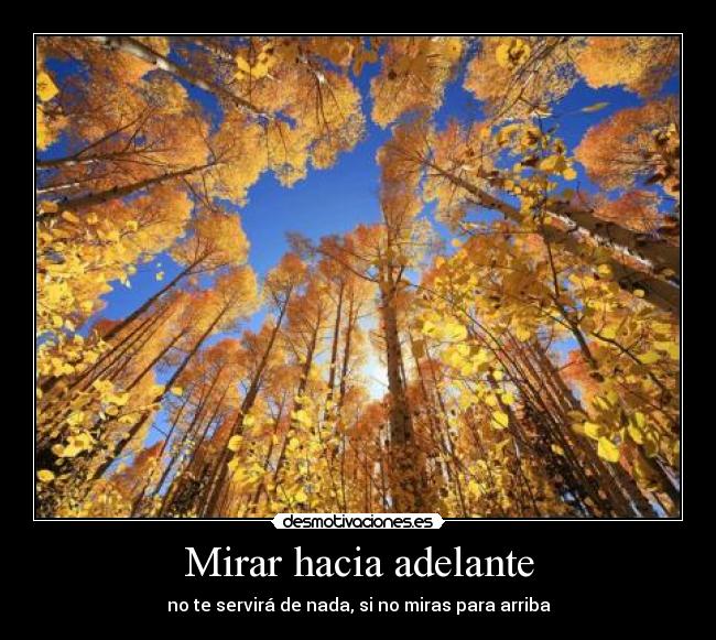 Mirar hacia adelante - 