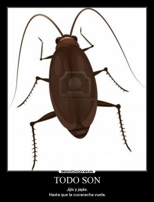 TODO SON - Jijís y jajás.
Hasta que la cucaracha vuela.