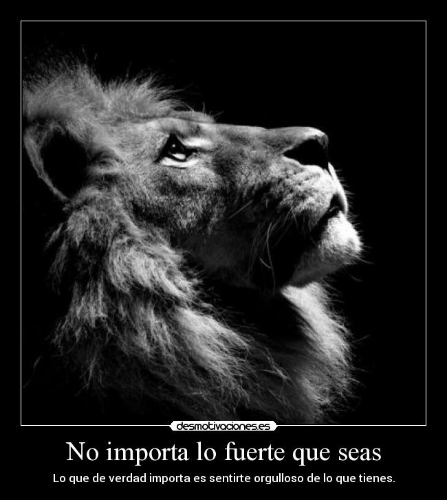 No importa lo fuerte que seas - Lo que de verdad importa es sentirte orgulloso de lo que tienes.