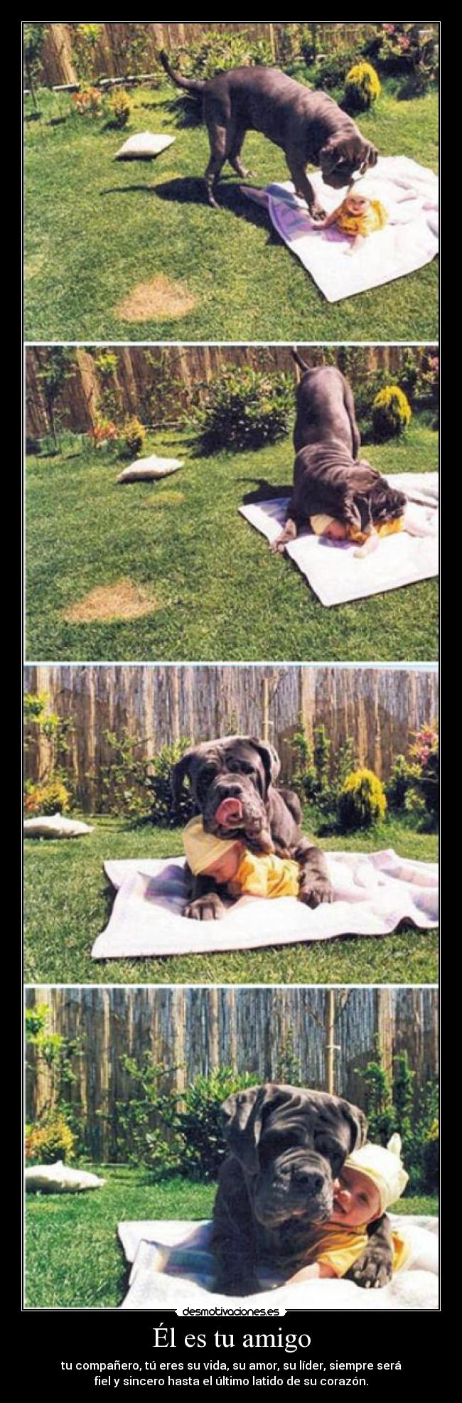 Él es tu amigo - tu compañero, tú eres su vida, su amor, su líder, siempre será
fiel y sincero hasta el último latido de su corazón.
