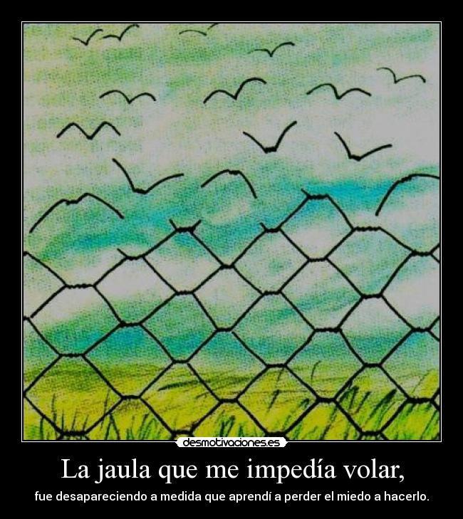 La jaula que me impedía volar, - fue desapareciendo a medida que aprendí a perder el miedo a hacerlo.