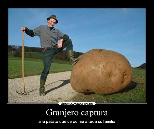 Granjero captura - a la patata que se comio a toda su familia.