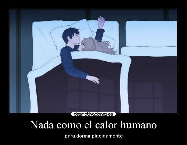 carteles tenori taiga toradora anime darkkonnan tigre desmotivaciones