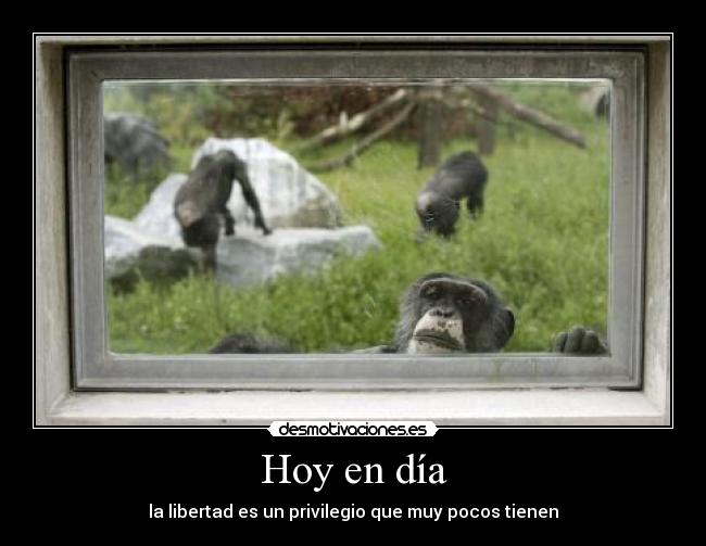 Hoy en día - la libertad es un privilegio que muy pocos tienen