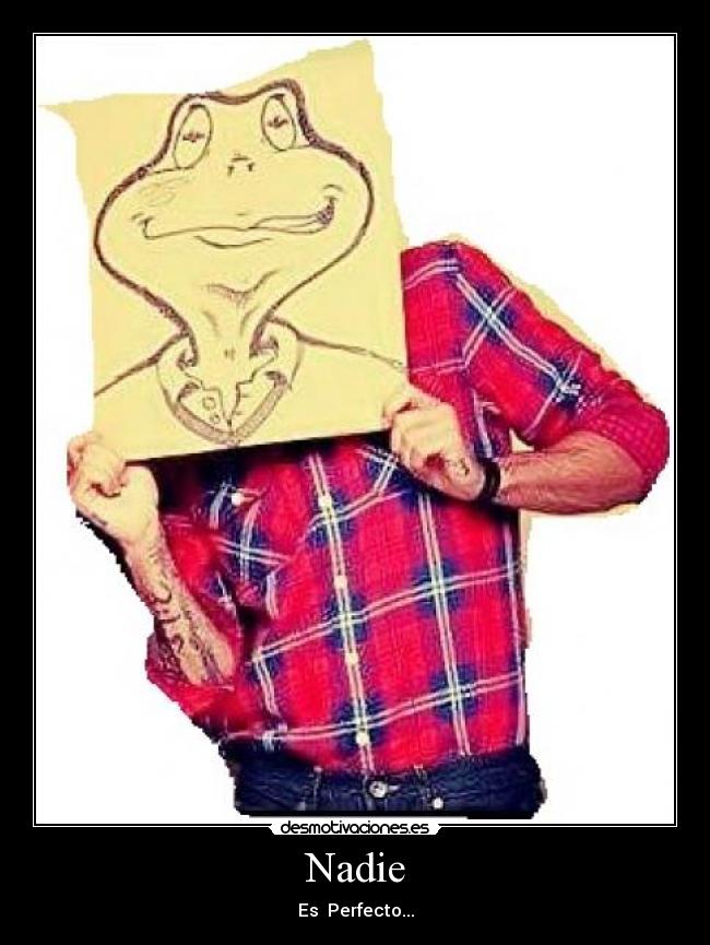 Nadie - Es Perfecto...