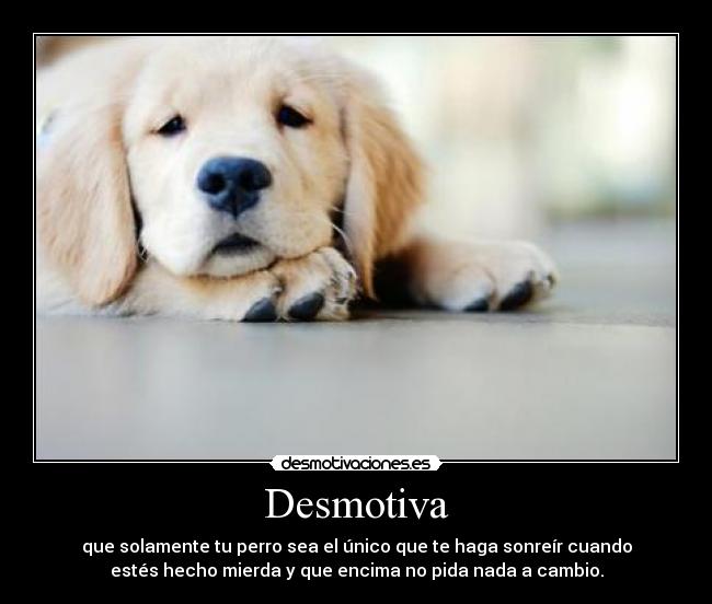Desmotiva - 