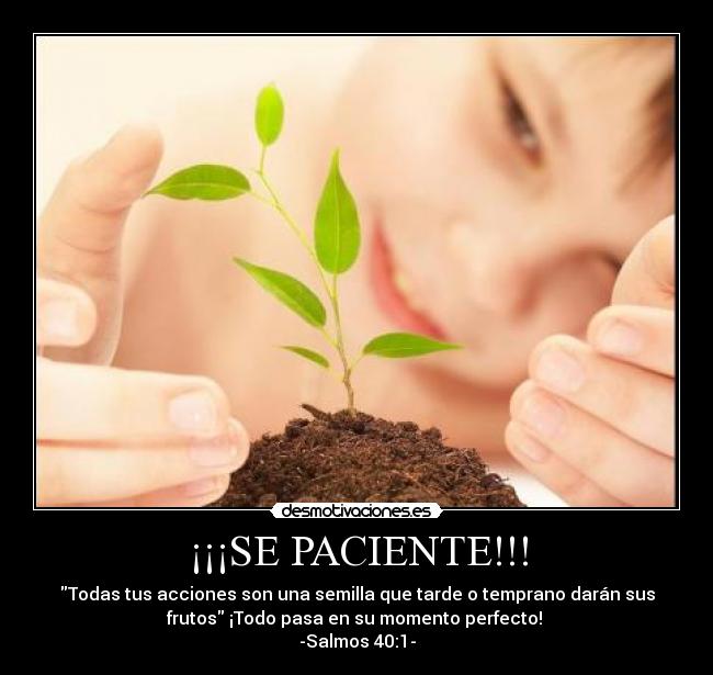 ¡¡¡SE PACIENTE!!! - Todas tus acciones son una semilla que tarde o temprano darán sus
frutos ¡Todo pasa en su momento perfecto!
-Salmos 40:1-