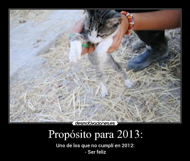 Propósito para 2013: - Uno de los que no cumplí en 2012:
- Ser feliz