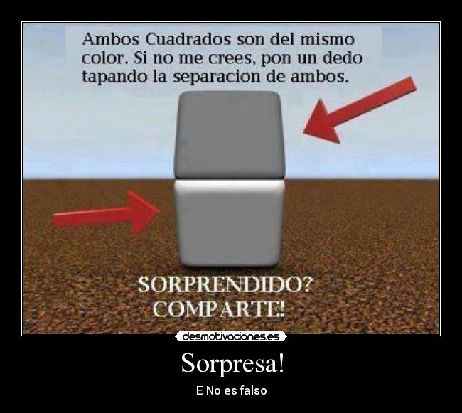 Sorpresa! - E No es falso