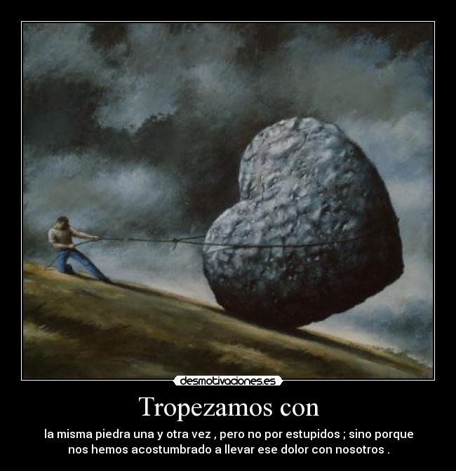 Sintético 90+ Foto El Hombre Es El Unico Animal Que Tropieza Dos Veces