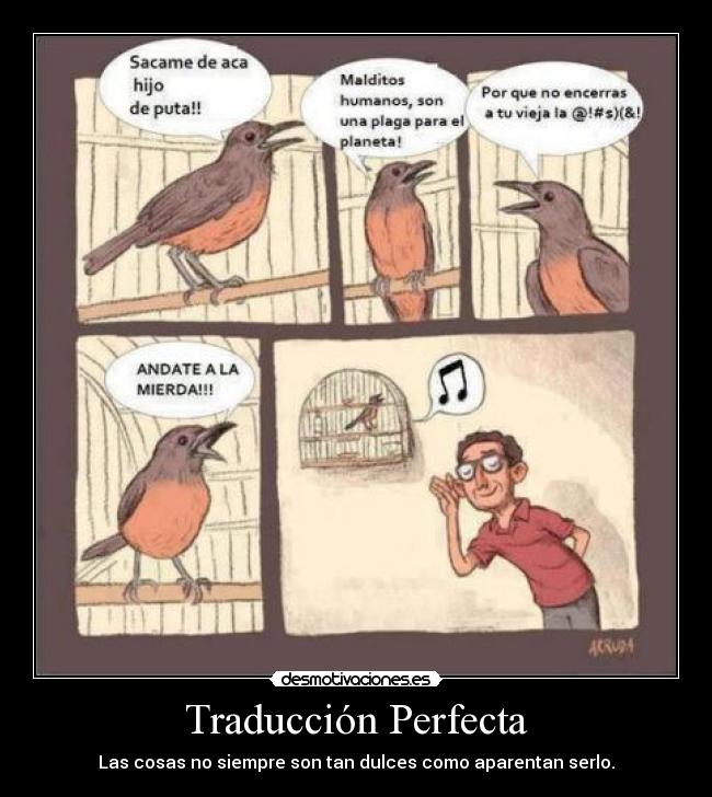 Traducción Perfecta - Las cosas no siempre son tan dulces como aparentan serlo.