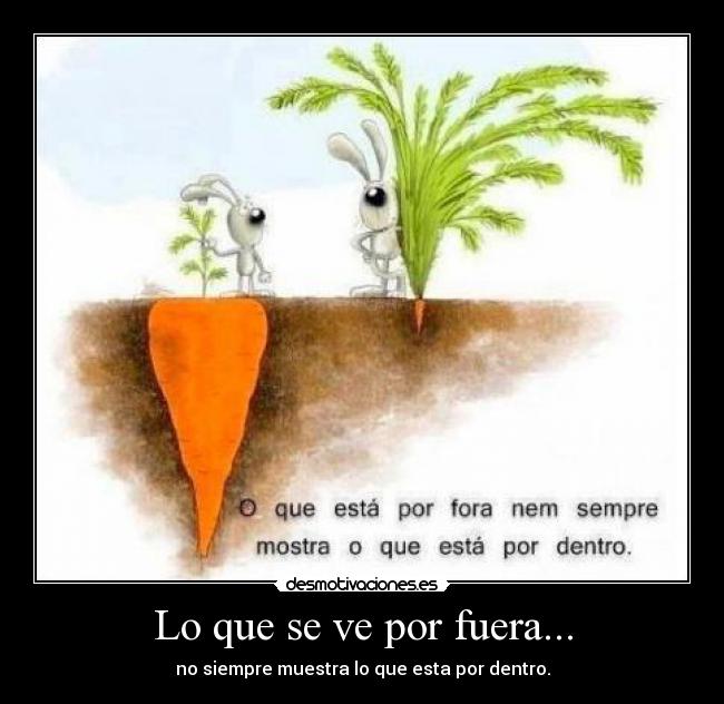 Lo que se ve por fuera... - no siempre muestra lo que esta por dentro.