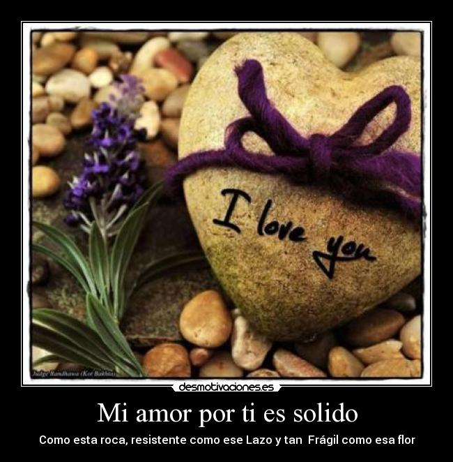 Mi amor por ti es solido - Como esta roca, resistente como ese Lazo y tan  Frágil como esa flor
