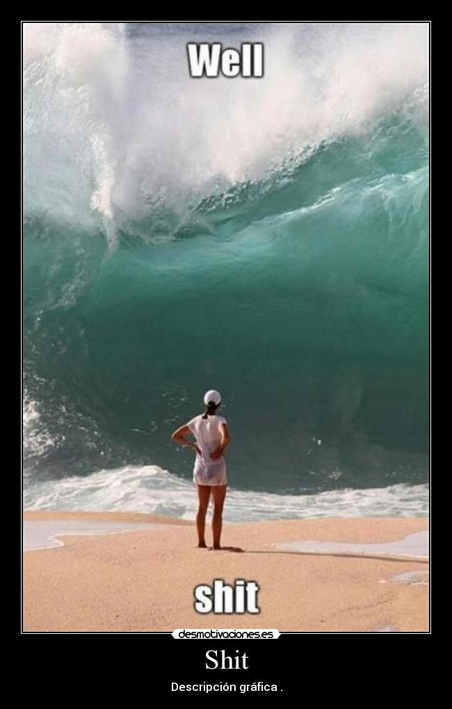Shit - Descripción gráfica .