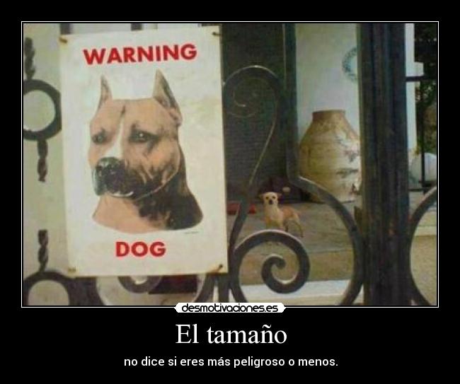 El tamaño - no dice si eres más peligroso o menos.